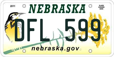 NE license plate DFL599