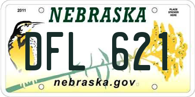 NE license plate DFL621