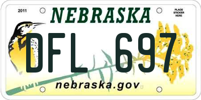 NE license plate DFL697