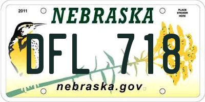 NE license plate DFL718