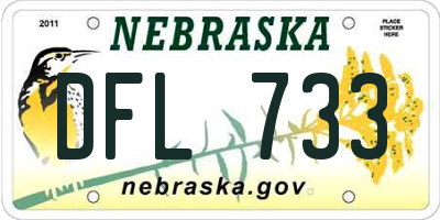 NE license plate DFL733