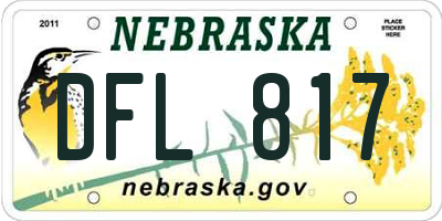 NE license plate DFL817