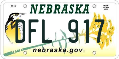 NE license plate DFL917