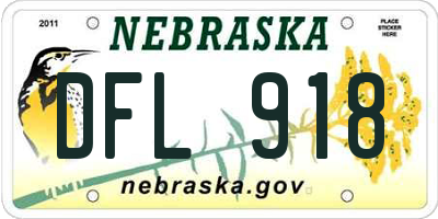 NE license plate DFL918