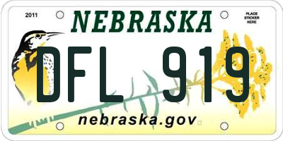 NE license plate DFL919