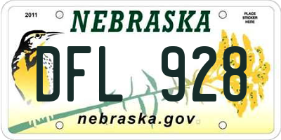 NE license plate DFL928