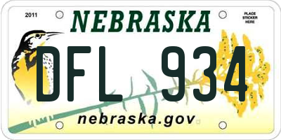 NE license plate DFL934