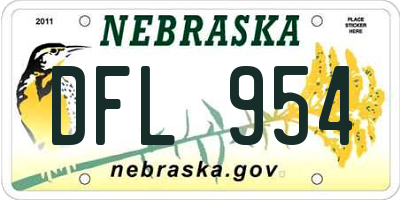 NE license plate DFL954
