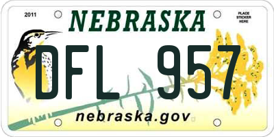 NE license plate DFL957