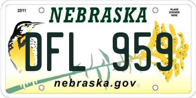 NE license plate DFL959
