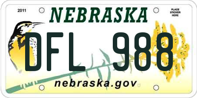NE license plate DFL988