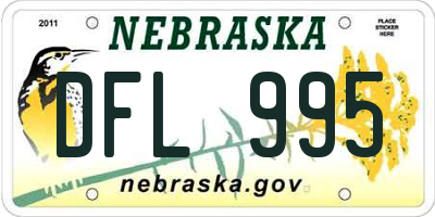 NE license plate DFL995