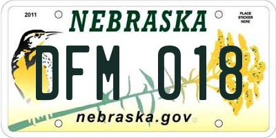 NE license plate DFM018