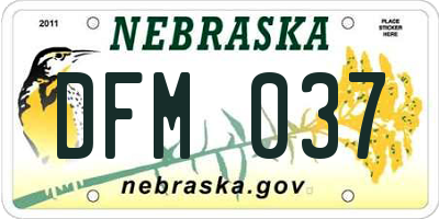 NE license plate DFM037