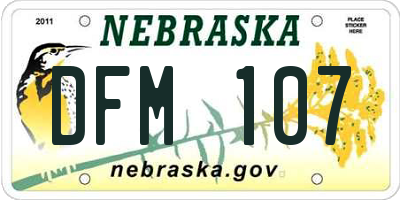 NE license plate DFM107