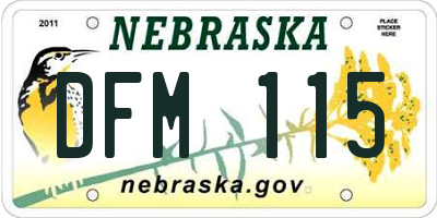 NE license plate DFM115