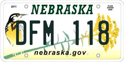 NE license plate DFM118