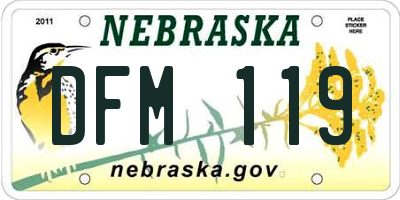 NE license plate DFM119