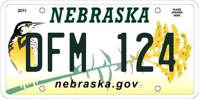 NE license plate DFM124