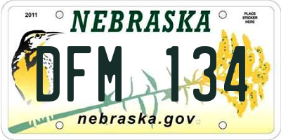 NE license plate DFM134