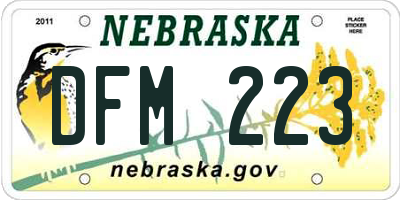 NE license plate DFM223
