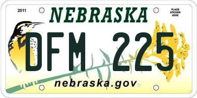 NE license plate DFM225