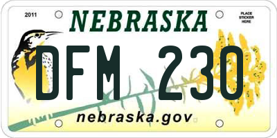 NE license plate DFM230