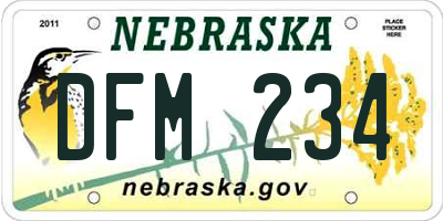 NE license plate DFM234