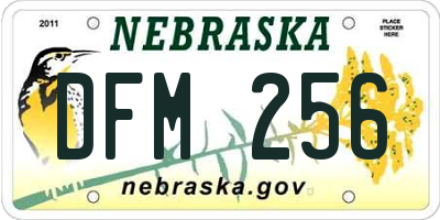 NE license plate DFM256