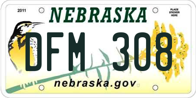 NE license plate DFM308