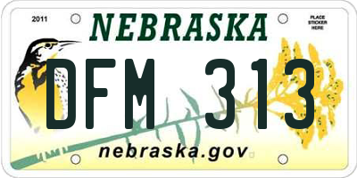 NE license plate DFM313
