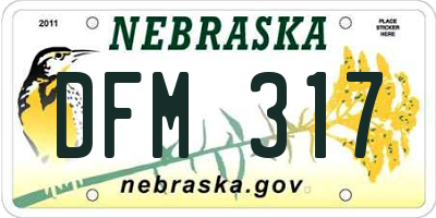 NE license plate DFM317