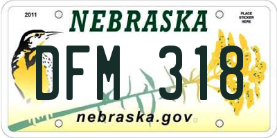 NE license plate DFM318
