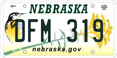 NE license plate DFM319