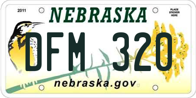 NE license plate DFM320