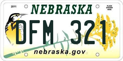NE license plate DFM321