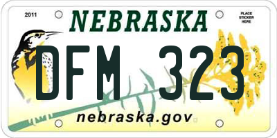 NE license plate DFM323