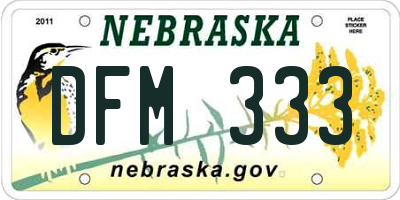 NE license plate DFM333