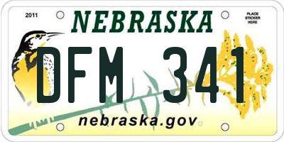 NE license plate DFM341