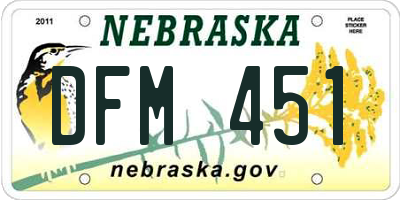 NE license plate DFM451