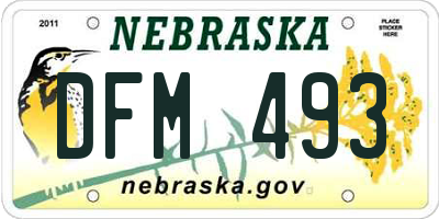 NE license plate DFM493