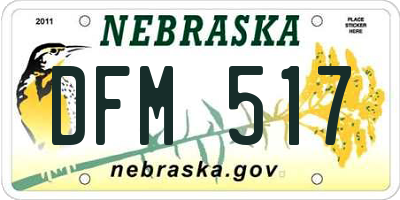 NE license plate DFM517