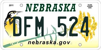 NE license plate DFM524