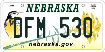NE license plate DFM530