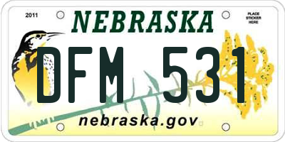 NE license plate DFM531