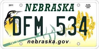 NE license plate DFM534