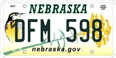 NE license plate DFM598