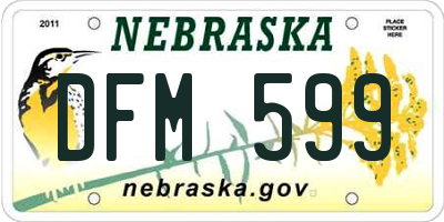 NE license plate DFM599