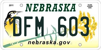 NE license plate DFM603