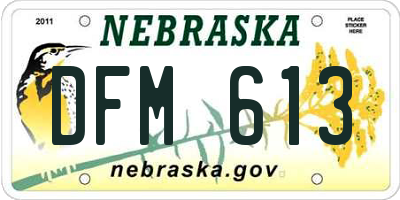 NE license plate DFM613